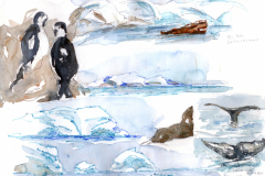 2020-11-Antarctique-Enterprise-Island-WCA-Copie