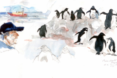 2020-17-Antarctique-le-commandant-WCA-Copie