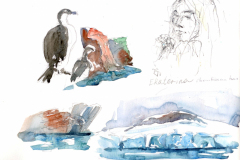 2020-18-Antarctique-Ekaterina-WCA-Copie