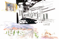 2020-11-Argentine-Cachi-WCA
