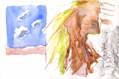 2020-6-Salta-Cafayete-WCA
